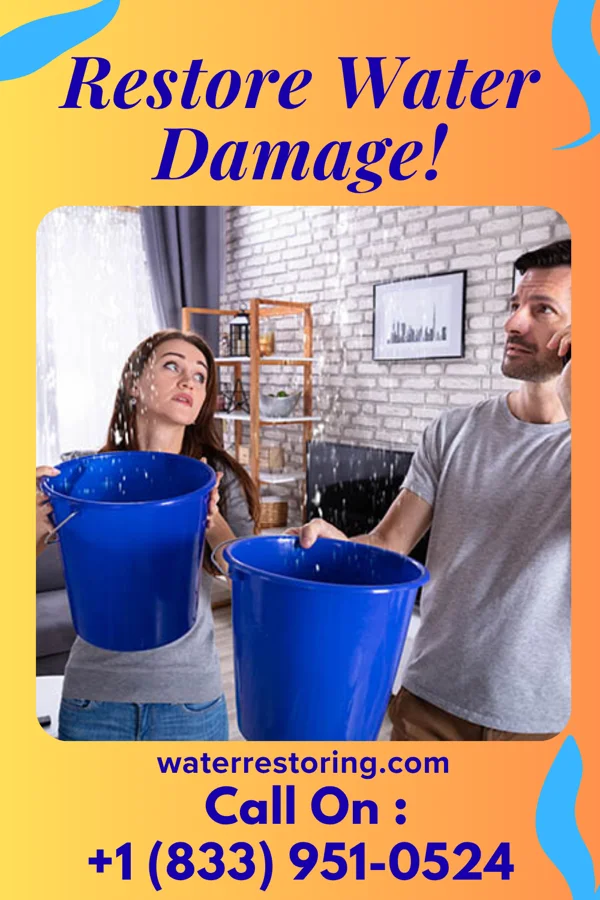 water restoration Horizon Sewage Cleanup Inc Lordstown