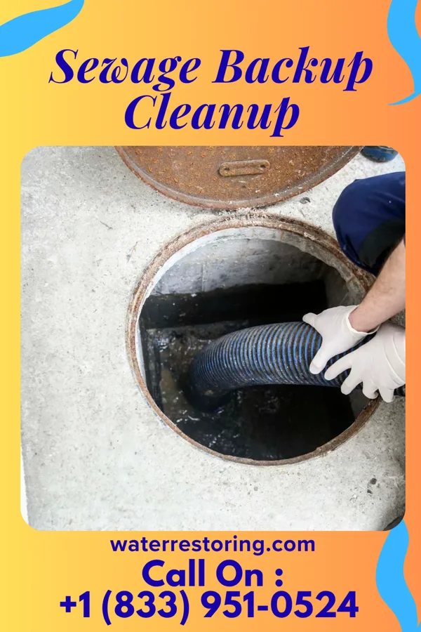 Sewage Backup Cleanup in Lordstown, OH