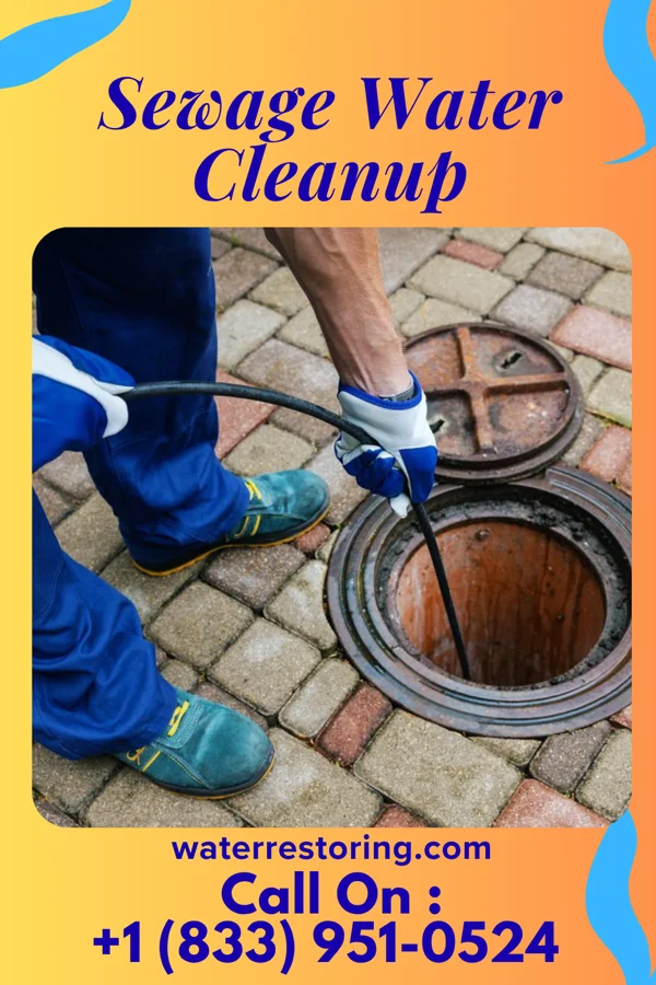 Sewage Water Cleanup in Lordstown, OH