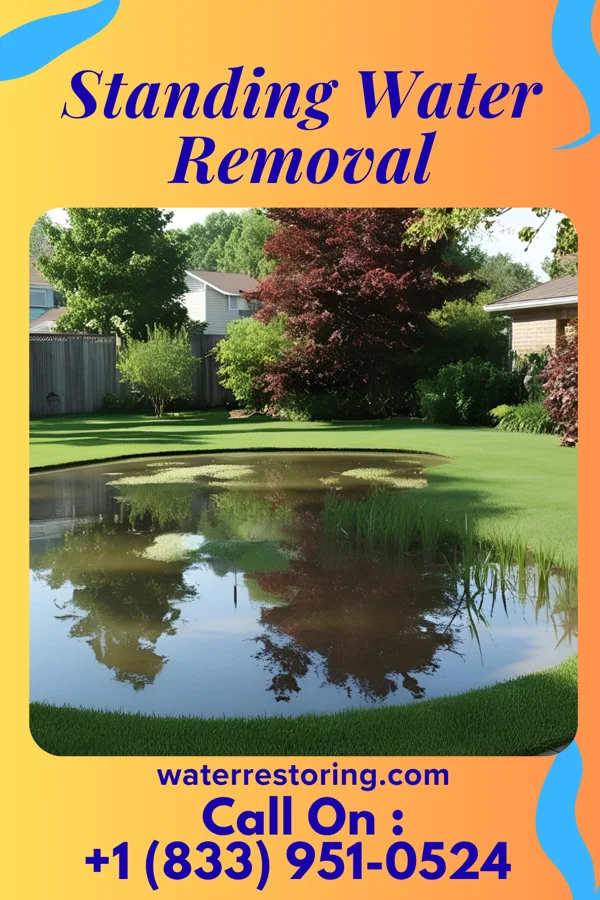 Standing Water Removal in Lordstown, OH